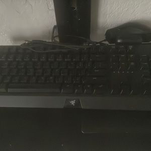 Keyboard and mouse